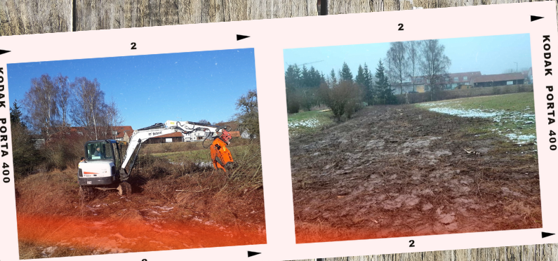 projekt-hirtenwiese-teil-2